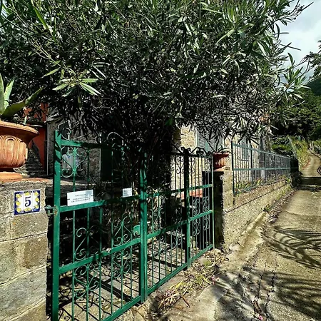 Mare Di Luna - Ac - Wifi - Garden - 2 Parking Spaces 아파트 베르나차